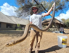 Jonathan with a large Brown Forest Cobra (Naja subfulva) on the bootcamp. Image by Luke Kemp (ASI)